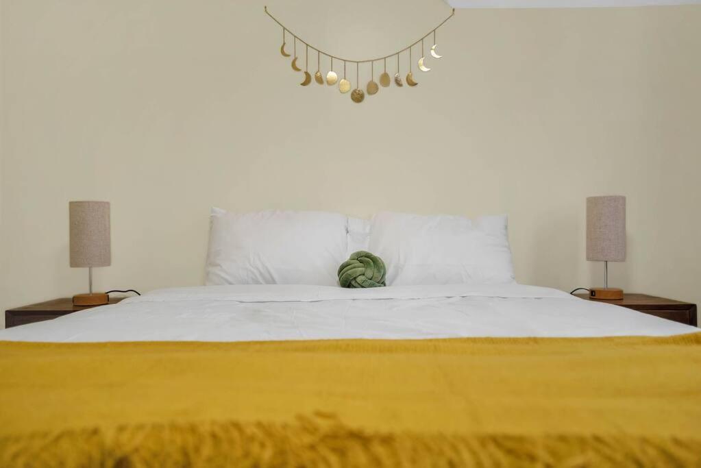 Golden Gem In Heart Of East Rock Quiet 3Br Near Dt And Yale Lejlighed New Haven Eksteriør billede